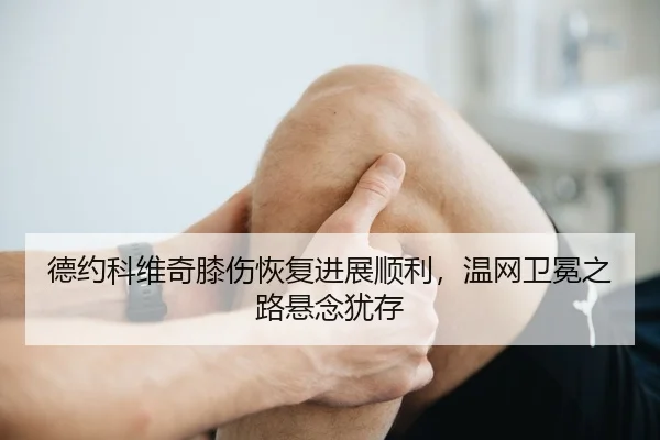 de-yue-ke-wei-qi-xi-shang-hui-fu-jin-zhan-shun-li-wen-wang-wei-mian-zhi-lu-xuan-nian-you-cun-3-918.jpg