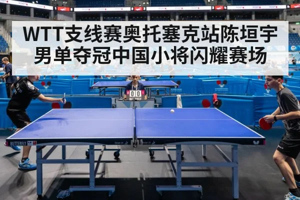table tennis match action
