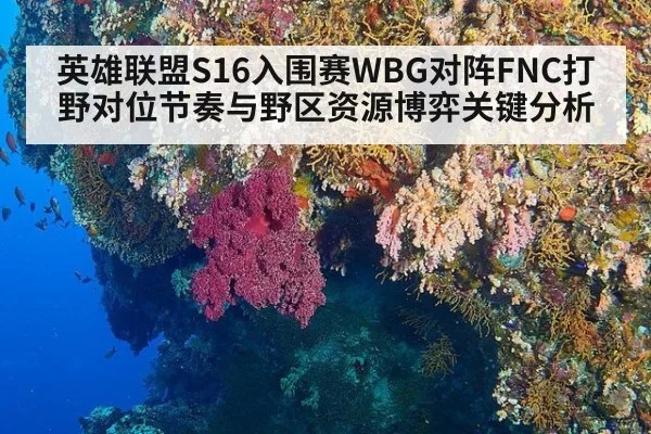 英雄联盟S16入围赛WBG对阵FNC打野对位节奏与野区资源博弈关键分析